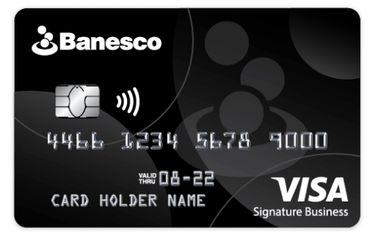 Visa Signature Business